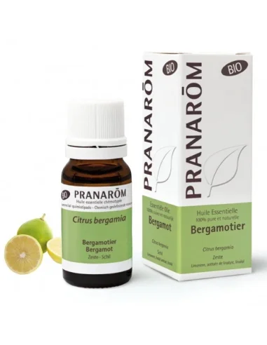   Com aroma muito agradável, a bergamota é relaxante, antidepressiva, sedativa e equilibrante. Óleo essencial 100% puro e biológico.  