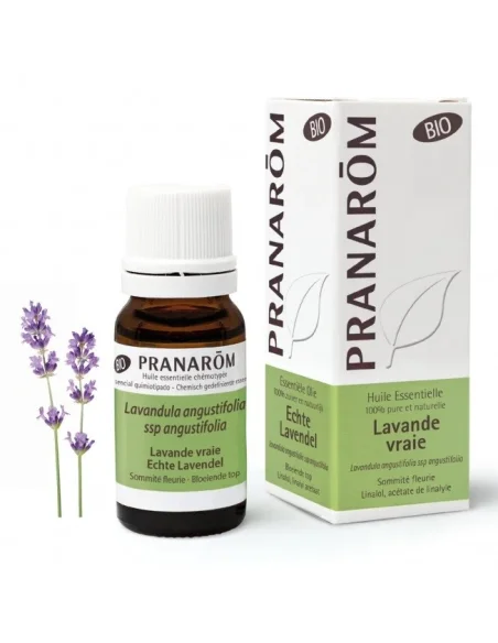 Lavanda Francesa BIO Pranarom BIO | SerEssencial - Aromaterapia