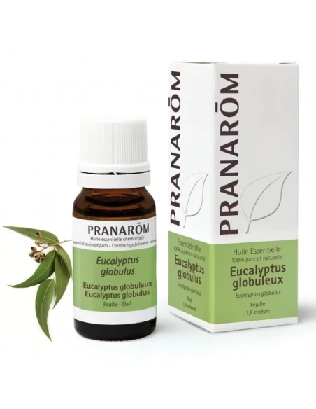 Óleo essencial Eucalipto Glóbulus BIO Pranarom | Ser Essencial