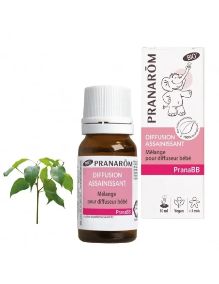 Difusão Depurativa Pranabb Pranarom | SerEssencial