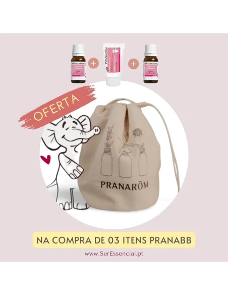 OFERTA Bolsa exclusiva na compra de 3 itens PranaBB