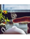 Difusores de Ambiente